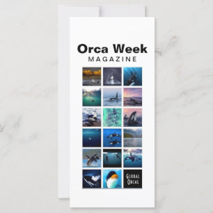 Orca Week Magazine-Karte