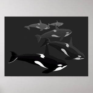 Orca Whale Art Poster Tueur Whale Imprimé toile
