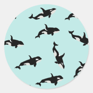 Orca Whale Illustration Pod Pattern Sea Baby Blue Runder Aufkleber