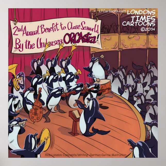 Orca Whale Orchestra Drôle Poster (Devant)