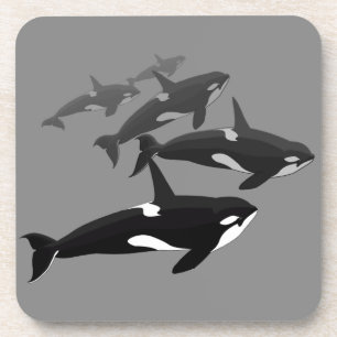 Orca Whale Untersetzer Killer Whale Art Drink Unte