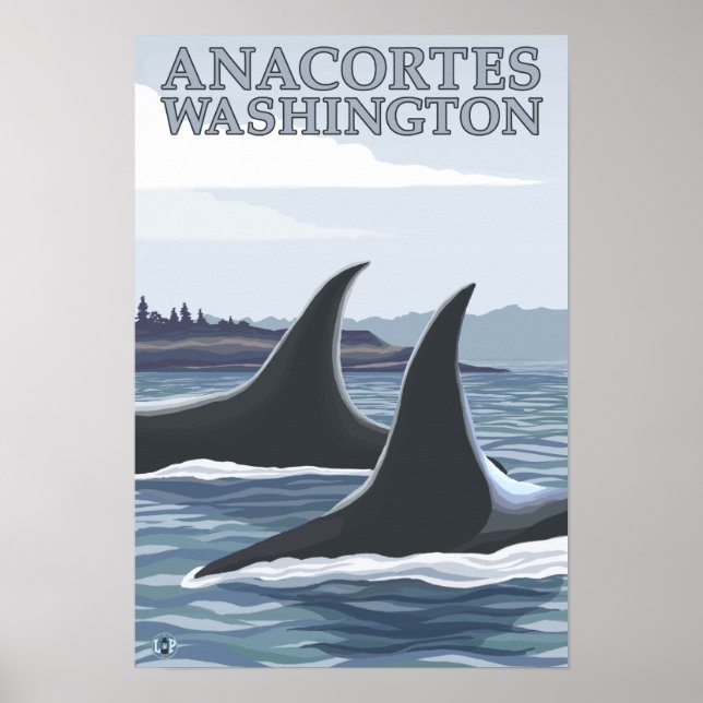 Orca Whales #1 - Anacort, Washington Poster (Vorne)