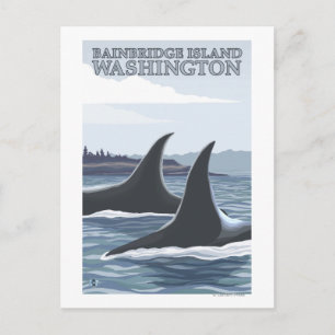 Orca Whales #1 - Bainbridge Island, Washington Postkarte