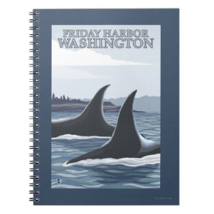 Orca Whales #1 - Freitagshafen, Washington Notizblock