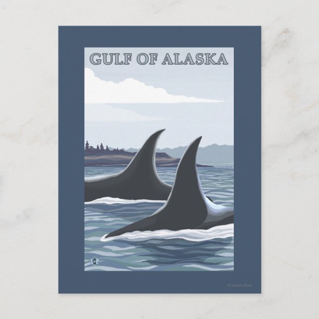 Orca Whales #1 - Golf von Alaska Postkarte (Vorderseite)