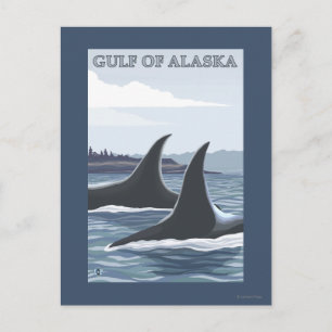 Orca Whales #1 - Golf von Alaska Postkarte