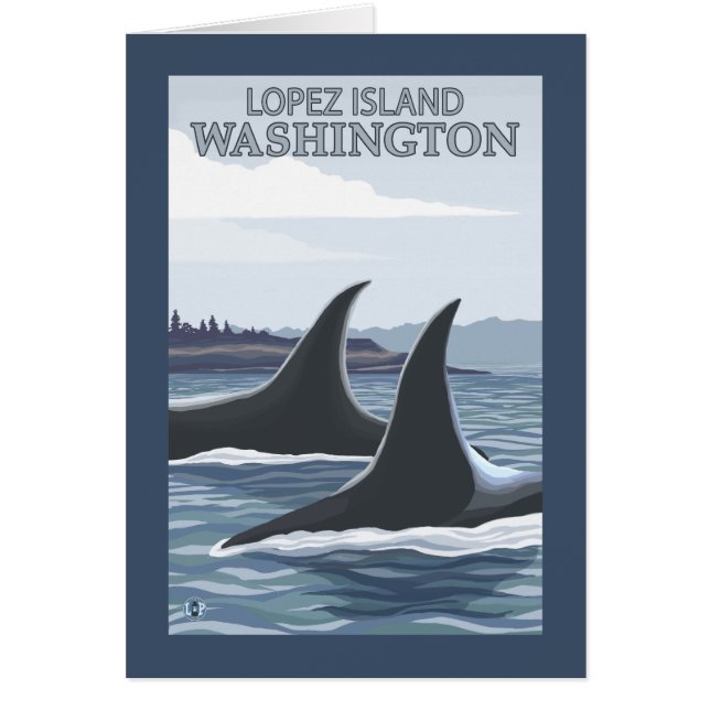 Orca Whales #1 - Lopez, Washington (Vorne)
