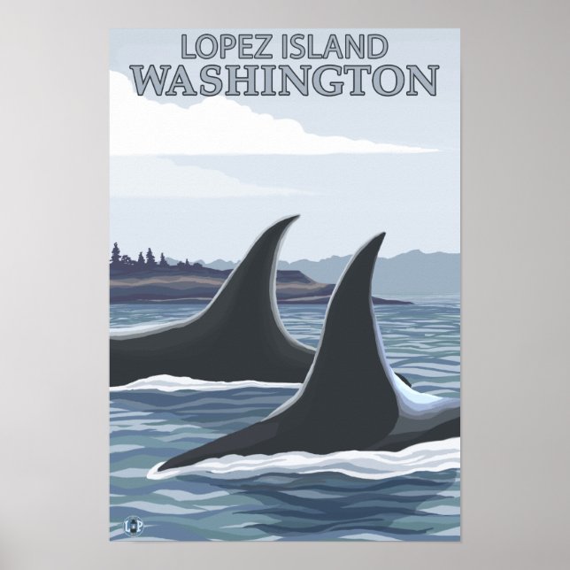 Orca Whales #1 - Lopez, Washington Poster (Vorne)
