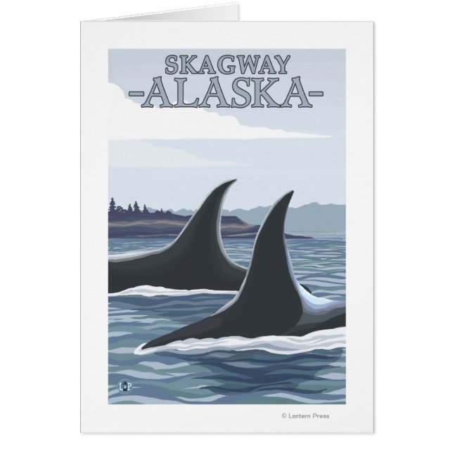 Orca Whales #1 - Skagway, Alaska (Devant)
