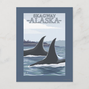 Orca Whales #1 - Skagway, Alaska Postkarte