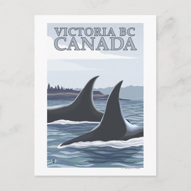 Orca Whales #1 - Victoria, BC Canada Postkarte (Vorderseite)