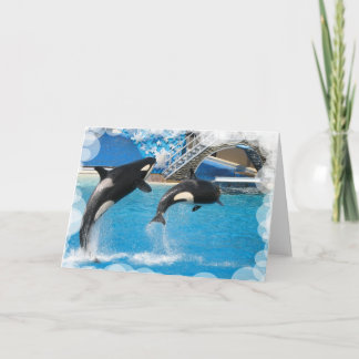 Orca Whales Grußkarte Karte