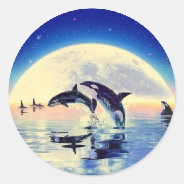 Orca Whales Runder Aufkleber (Vorderseite)