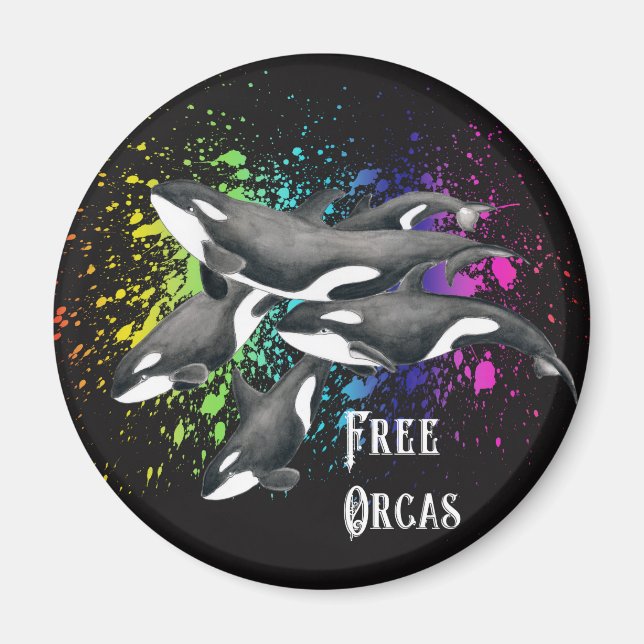 Orca Whales Watercolor Splash Black Magnet (Vorne)
