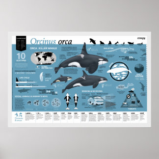 Orcagraphisches Poster - Deutsche Ausgabe