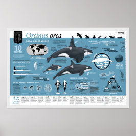 Orcagraphisches Poster - englische Ausgabe