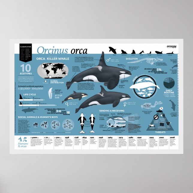 Orcagraphisches Poster - englische Ausgabe (Vorne)