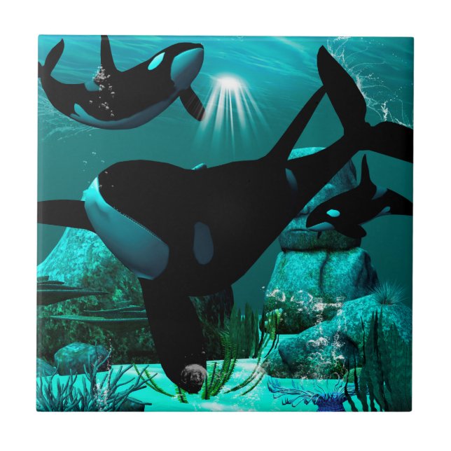 Orcas Fliese (Vorderseite)