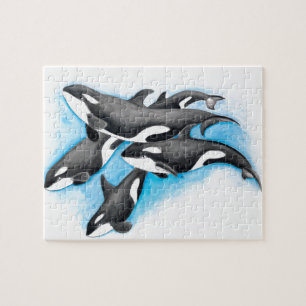 Orcas in blau