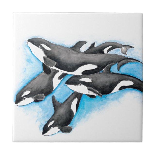 Orcas in blau fliese (Vorderseite)