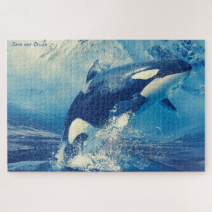 Orcas oder Killer Whales Jigsaw Puzzle