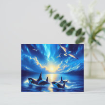 Orcas