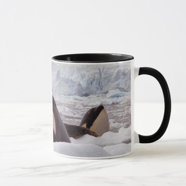 Orcas Spyhopping Tasse (Rechts)