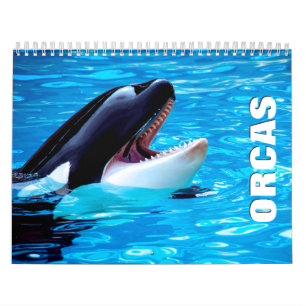 Orcas Wall Calendar Kalender