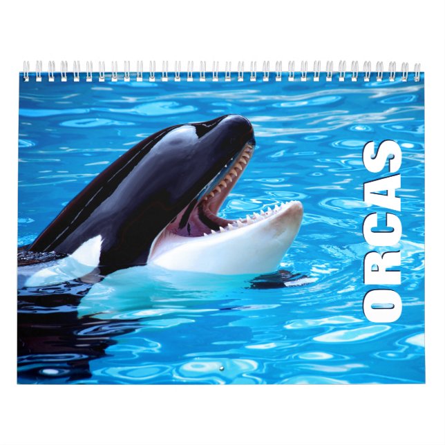 Orcas Wall Calendar Kalender (Titelbild)