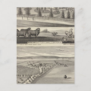 Orchard Farm, Somerville Lodge Postkarte