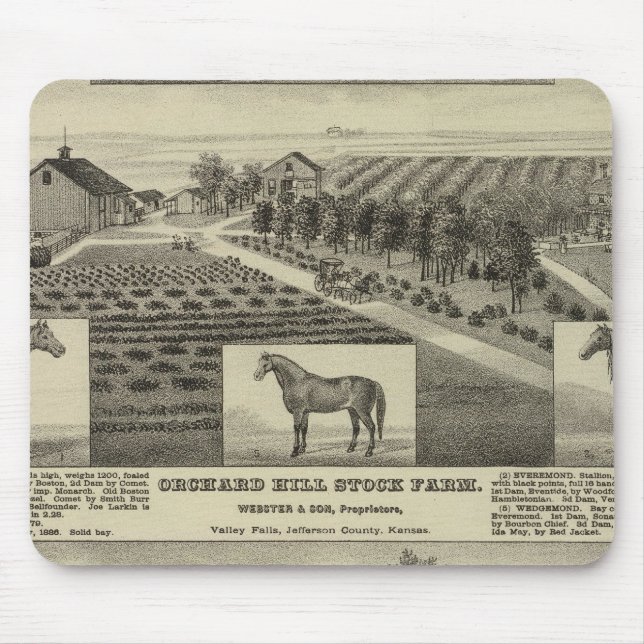 Orchard Hill und Cedar Grove, Kansas Mousepad (Vorne)