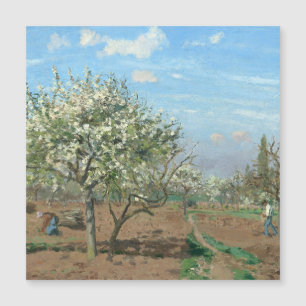 Orchard in Bloom, Louveciennes Camille Pissarro Magnetkarte