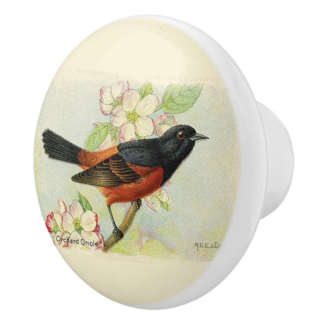 Orchard Oriole Bird Keramikknauf (Rechts)