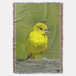 Orchard Oriole - Original Foto Decke
