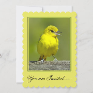 Orchard Oriole - Original Foto Einladung