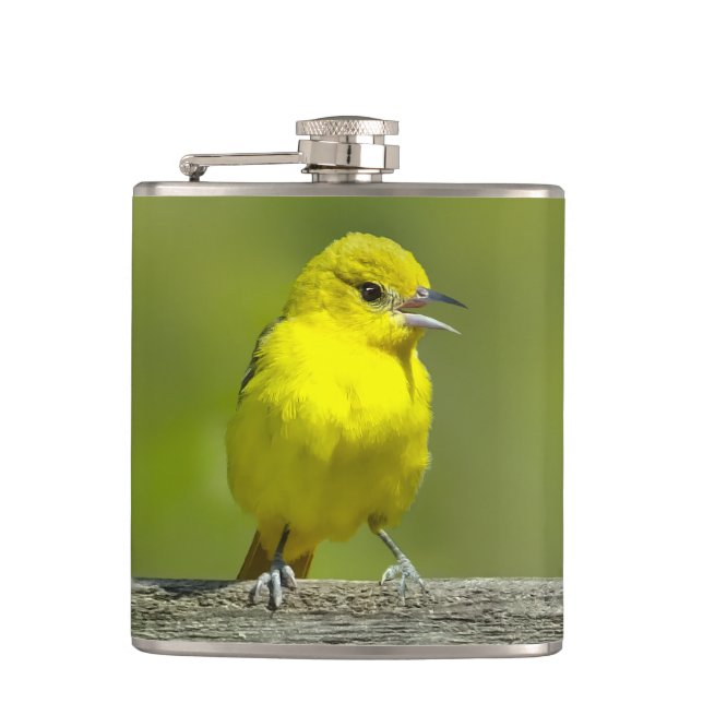 Orchard Oriole - Original Foto Flachmann (Vorderseite)