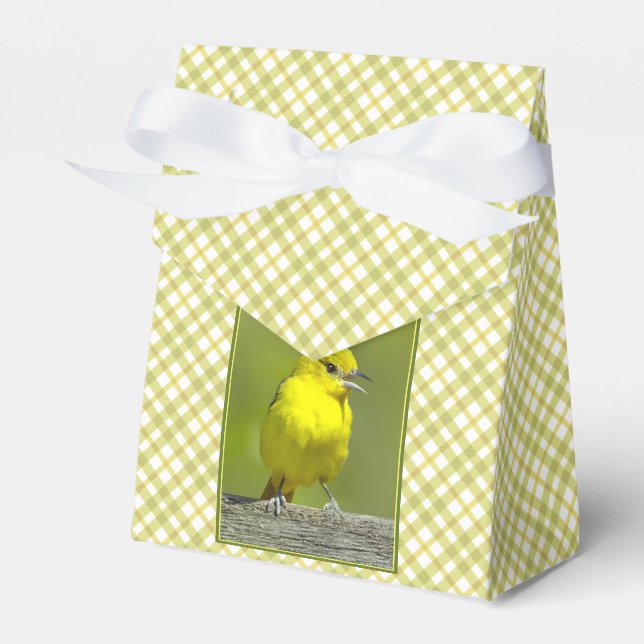 Orchard Oriole - Original Foto Geschenkschachtel (Vorderseite)
