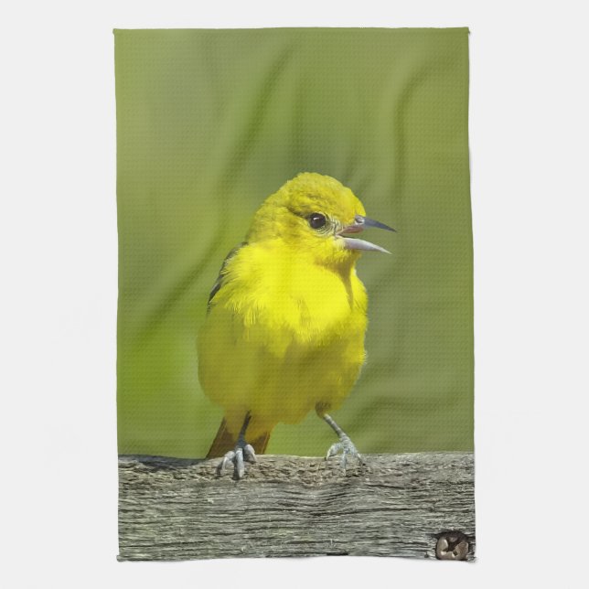 Orchard Oriole - Original Foto Geschirrtuch (Vertikal)
