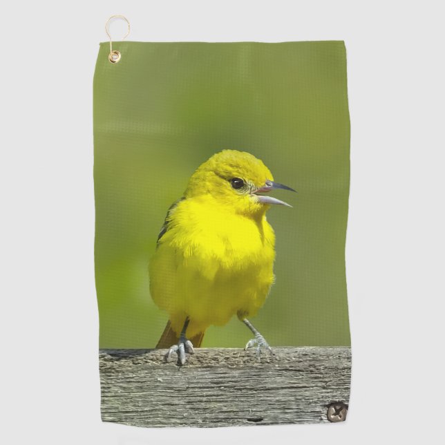 Orchard Oriole - Original Foto Golfhandtuch (Vorderseite)