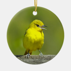 Orchard Oriole - Original Foto Keramik Ornament