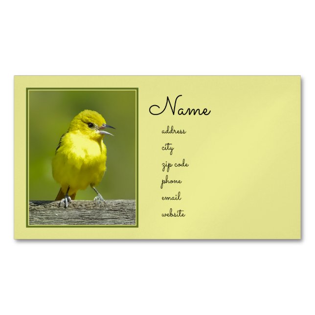 Orchard Oriole - Original Foto Magnetische Visitenkarte (Vorderseite)