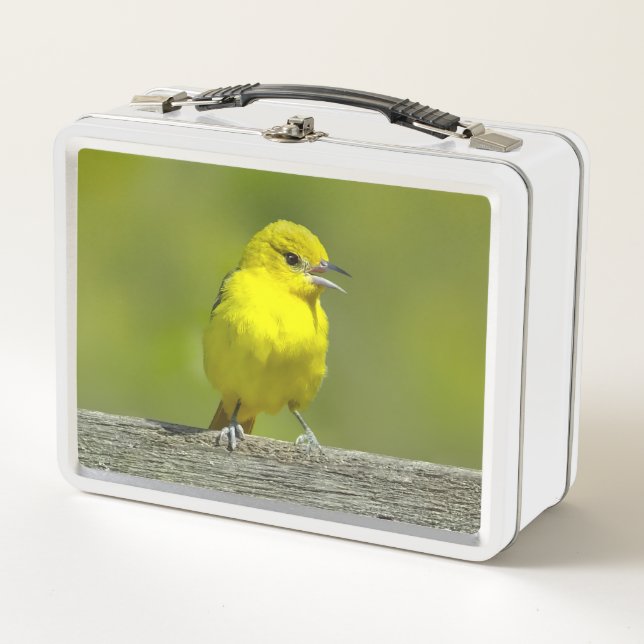 Orchard Oriole - Original Foto Metall Brotdose (Vorderseite)