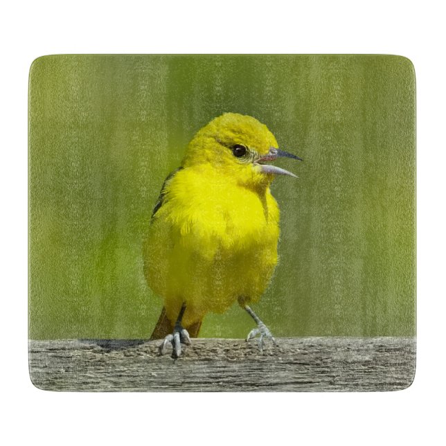 Orchard Oriole - Original Foto Schneidebrett (Vorderseite)