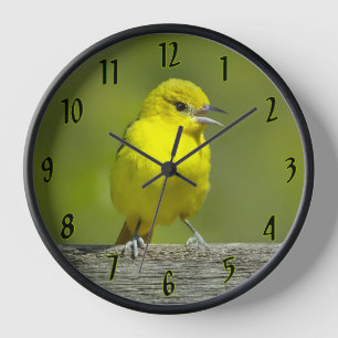 Orchard Oriole - Original Foto Uhr