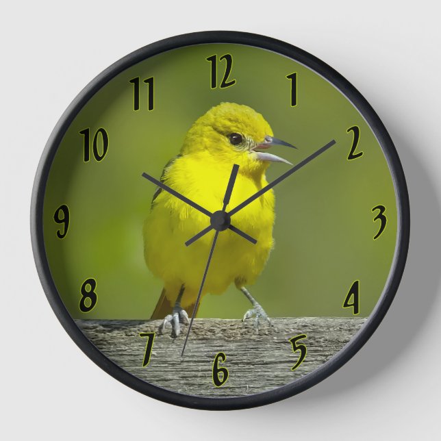 Orchard Oriole - Original Foto Uhr (Vorderseite)