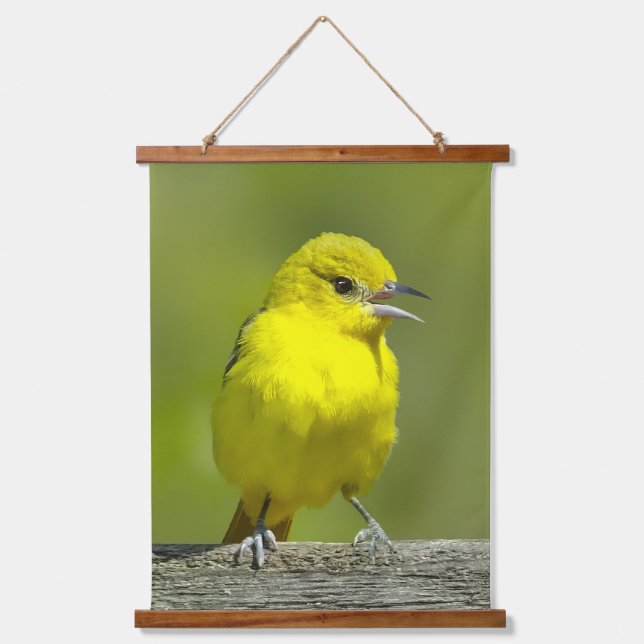 Orchard Oriole - Original Foto Wandteppich Mit Holzrahmen (Vorderseite)