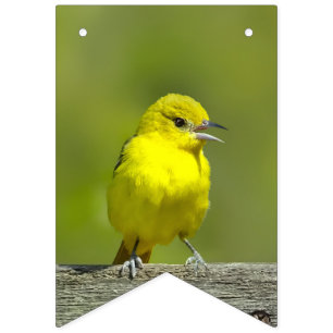 Orchard Oriole - Original Foto Wimpelkette