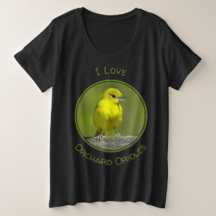 Orchard Oriole - Photo originale