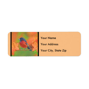Orchard Oriole Songbird Malerei Original Bird Art