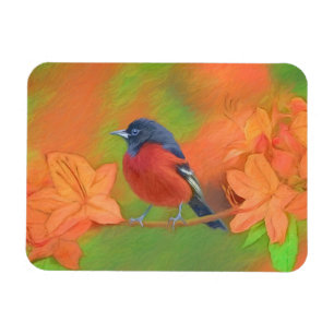Orchard Oriole Songbird Malerei Original Bird Art Magnet